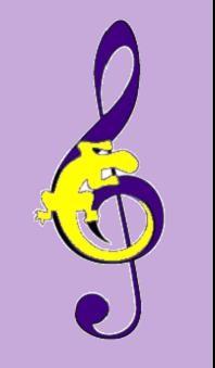 Logo salamandre 1